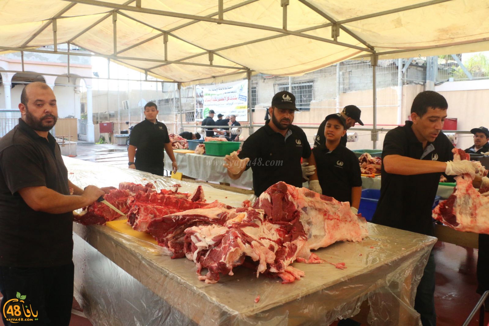 lo7om jam3iya u3 (21).jpg